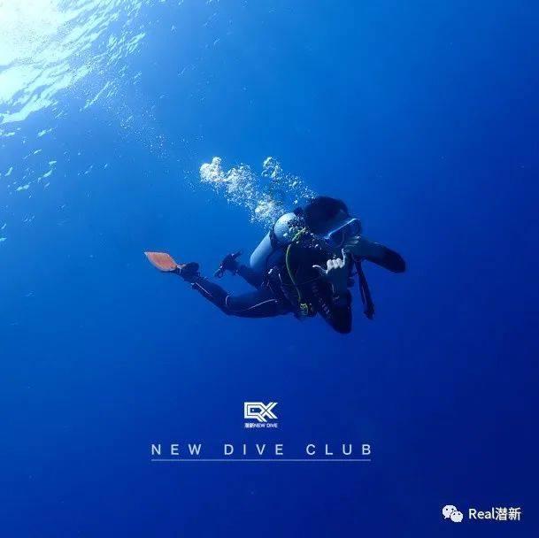 张佳宁《小城故事多》和杨紫《要久久爱》