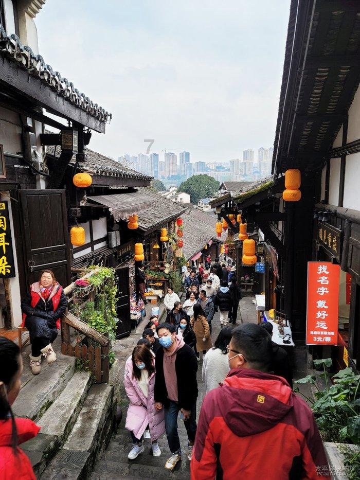 饥饿的松鼠救援